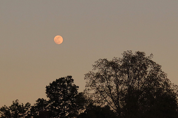 Jonesborough at moonrise