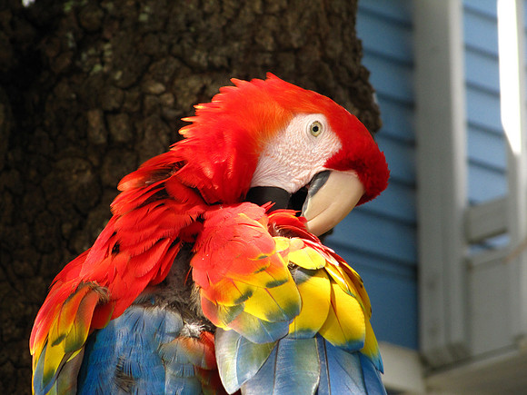 Hilton Head Island, SC