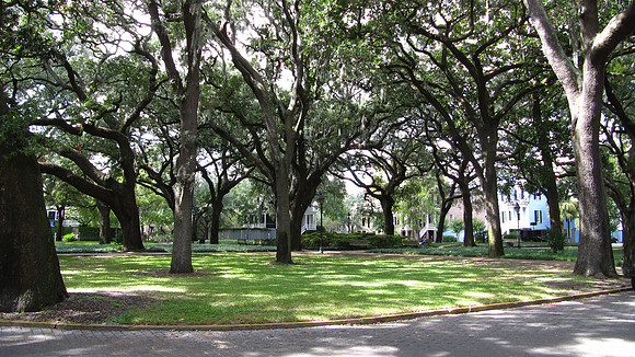 Savannah, GA
