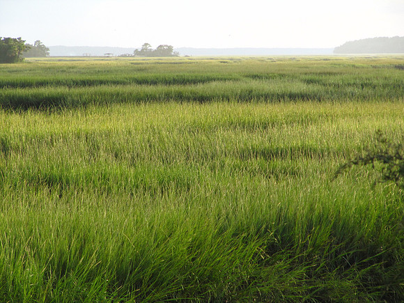 Beaufort, SC