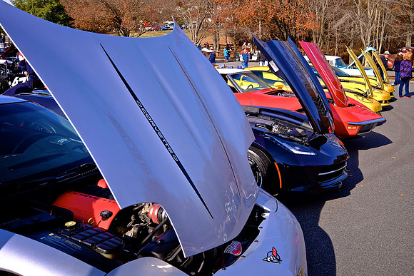 2014 Nov - Davidson Car Show