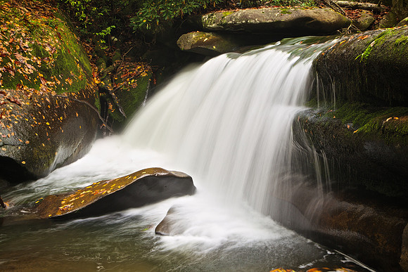 Living Waters Ministries, Roseman, NC