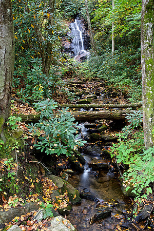Log Hollow Falls, Blue Ridge Parkway
