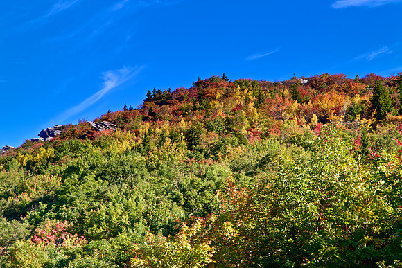 Blue Ridge Parkway