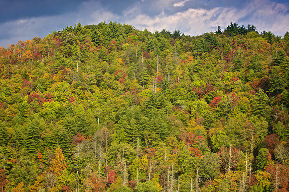 Blue Ridge Parkway
