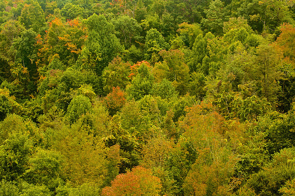 Blue Ridge Parkway