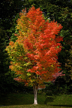 Blue Ridge Parkway