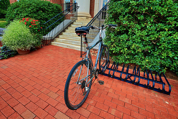 Davidson College in the Morning