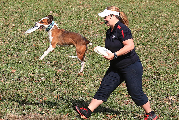 2013 Nov 9 - Rural Hill Sheep Dog Trials
