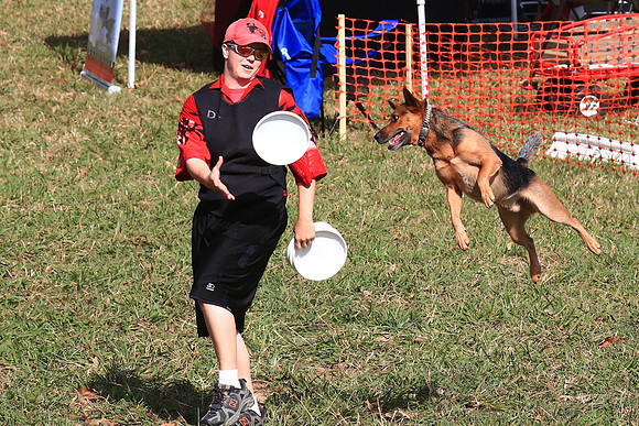 2013 Nov 9 - Rural Hill Sheep Dog Trials