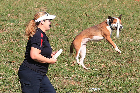 2013 Nov 9 - Rural Hill Sheep Dog Trials