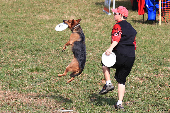 2013 Nov 9 - Rural Hill Sheep Dog Trials