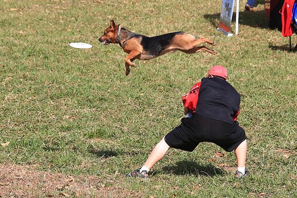 2013 Nov 9 - Rural Hill Sheep Dog Trials