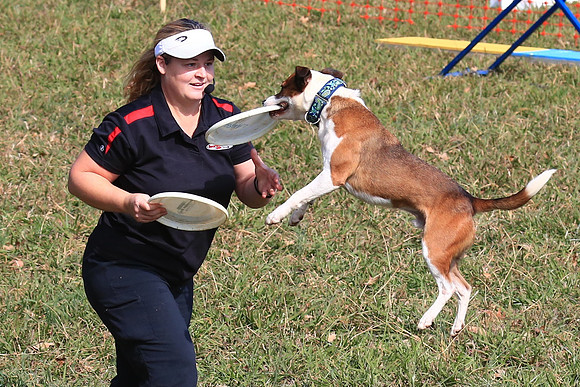 2013 Nov 9 - Rural Hill Sheep Dog Trials