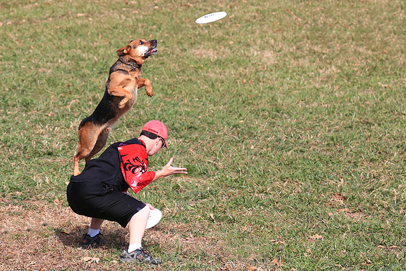 2013 Nov 9 - Rural Hill Sheep Dog Trials