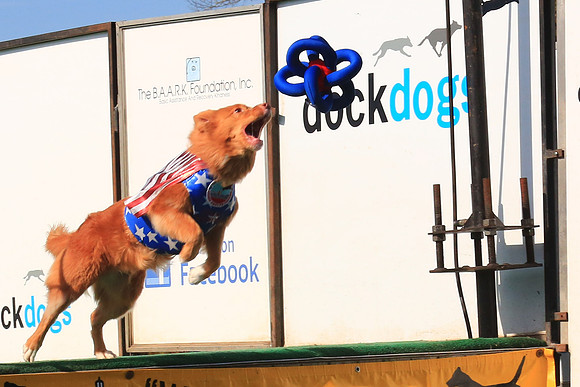 2013 Nov 9 - Rural Hill Sheep Dog Trials