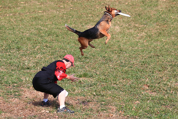 2013 Nov 9 - Rural Hill Sheep Dog Trials