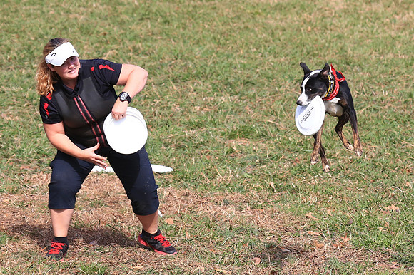 2013 Nov 9 - Rural Hill Sheep Dog Trials