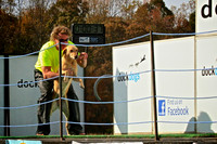 2013 Nov - Rural Hill Sheep Dog Trials