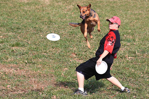 2013 Nov 9 - Rural Hill Sheep Dog Trials
