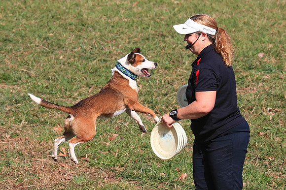 2013 Nov 9 - Rural Hill Sheep Dog Trials