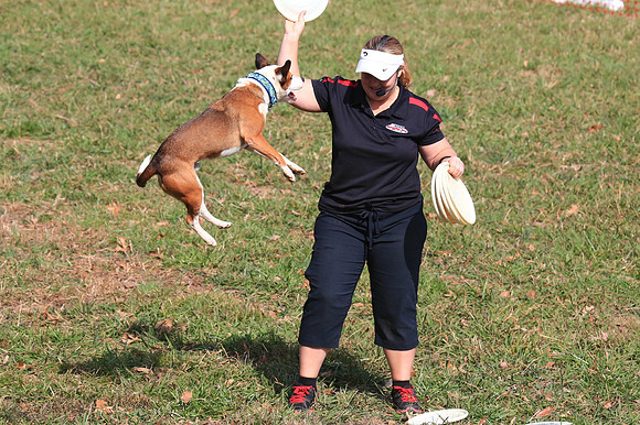 2013 Nov 9 - Rural Hill Sheep Dog Trials