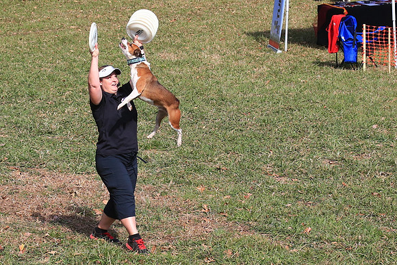 2013 Nov 9 - Rural Hill Sheep Dog Trials