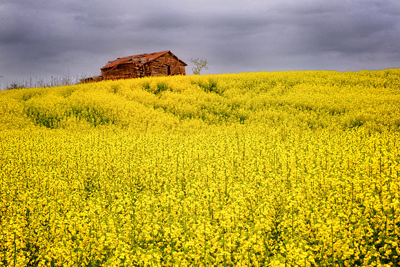 Blue Ridge Spring
