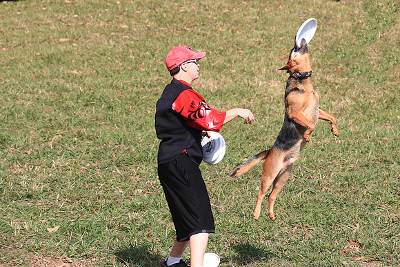 2013 Nov 9 - Rural Hill Sheep Dog Trials