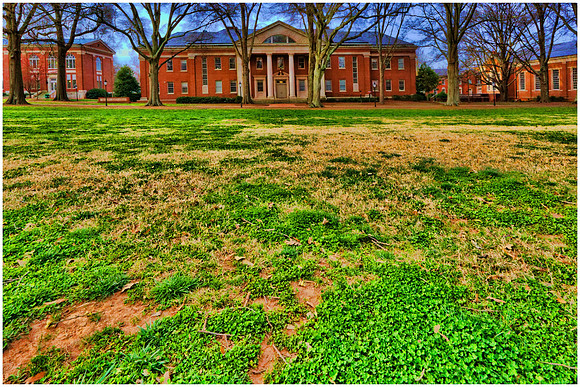 Davidson Town & College - St. Patrick's Day, 2013
