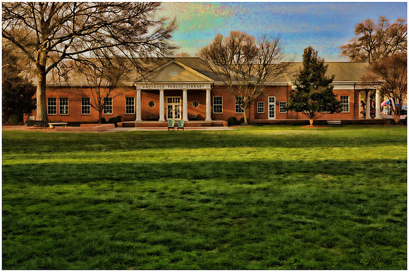 Davidson Town & College - St. Patrick's Day, 2013