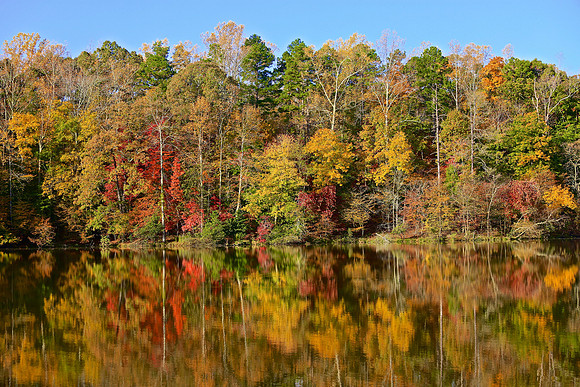 Lake Norman State Park, NC