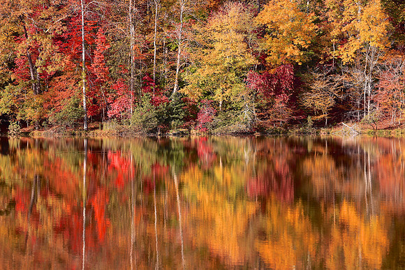 Lake Norman State Park, NC