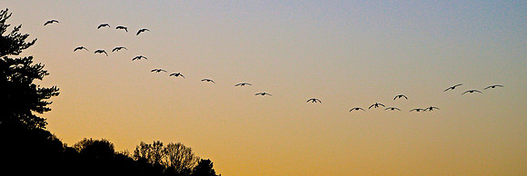Lake Norman State Park, NC