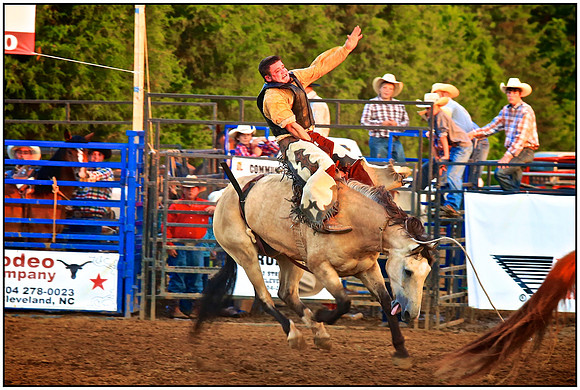 Let's Rodeo!