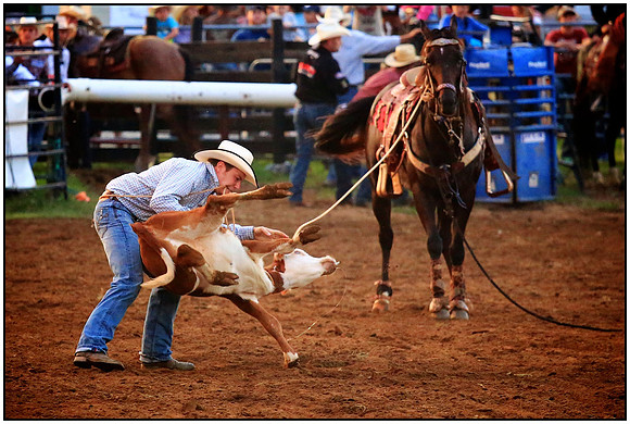 Let's Rodeo!