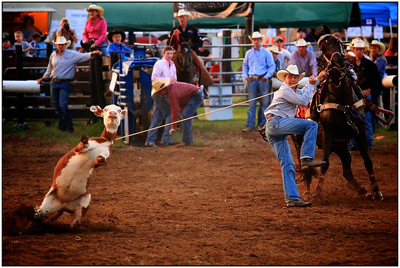 Let's Rodeo!