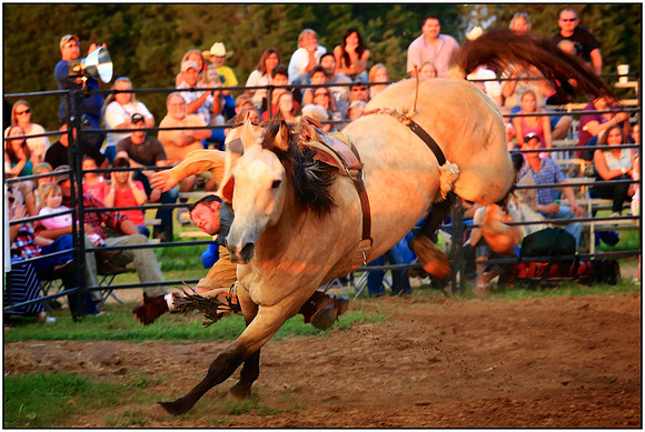 Let's Rodeo!