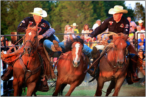 Let's Rodeo!