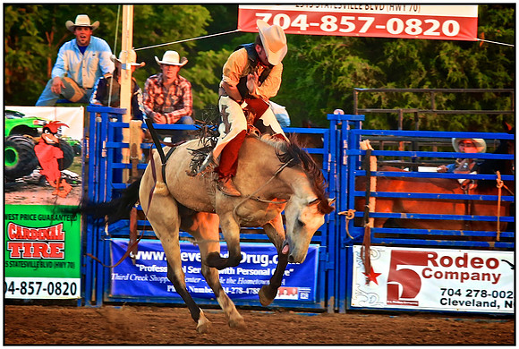 Let's Rodeo!
