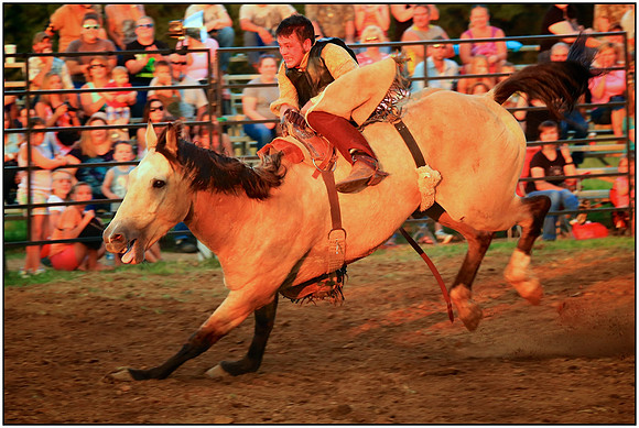 Let's Rodeo!