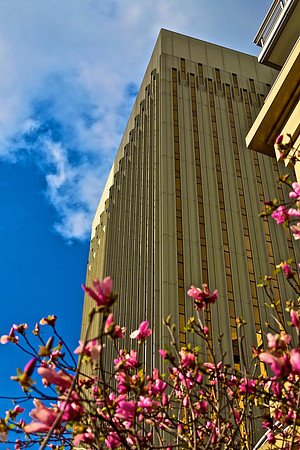 Charlotte, North Carolina