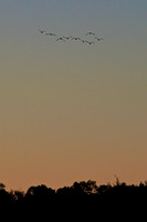 2011 Oct - Fall Colors, Davidson, NC