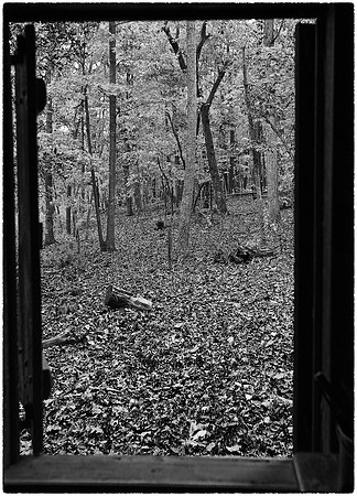 Hart Square in Black & White