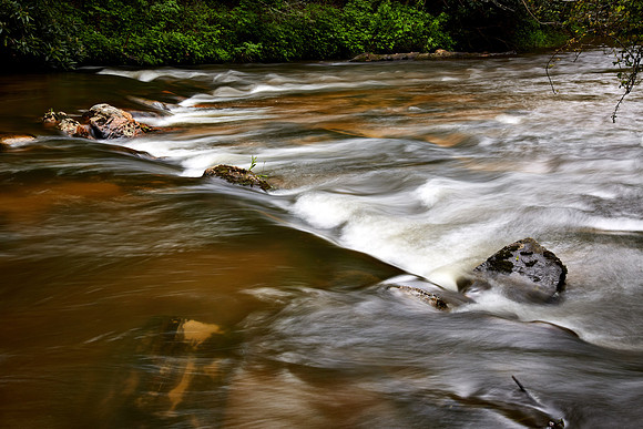 Jewell Branch, South Carolina