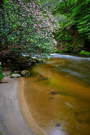 Jewell Branch, South Carolina
