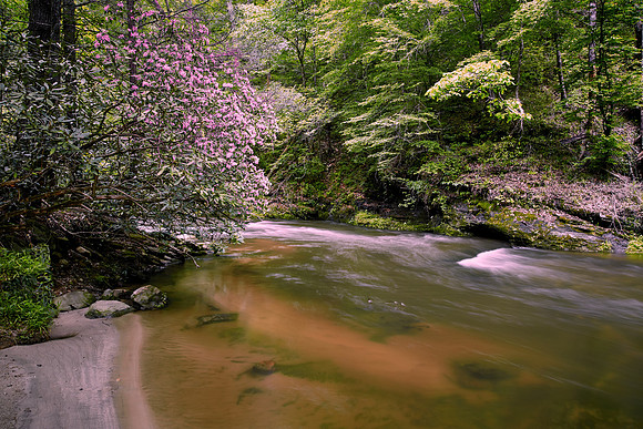 Jewell Branch, South Carolina