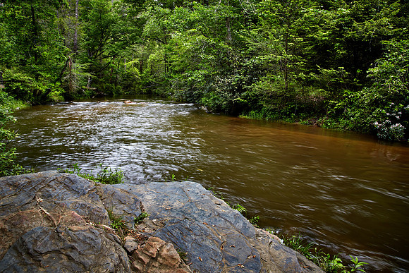 Jewell Branch, South Carolina