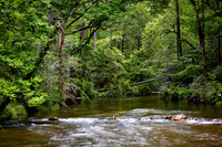 2017 May - Waterfalls & Grist Mills, SC