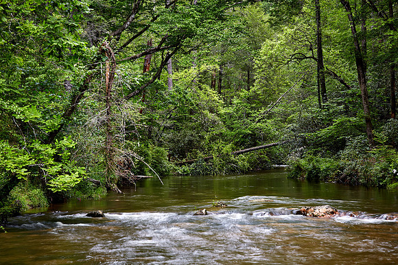 Jewell Branch, South Carolina